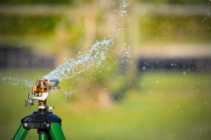 Lawns need water at least once per week